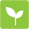 Green Standards